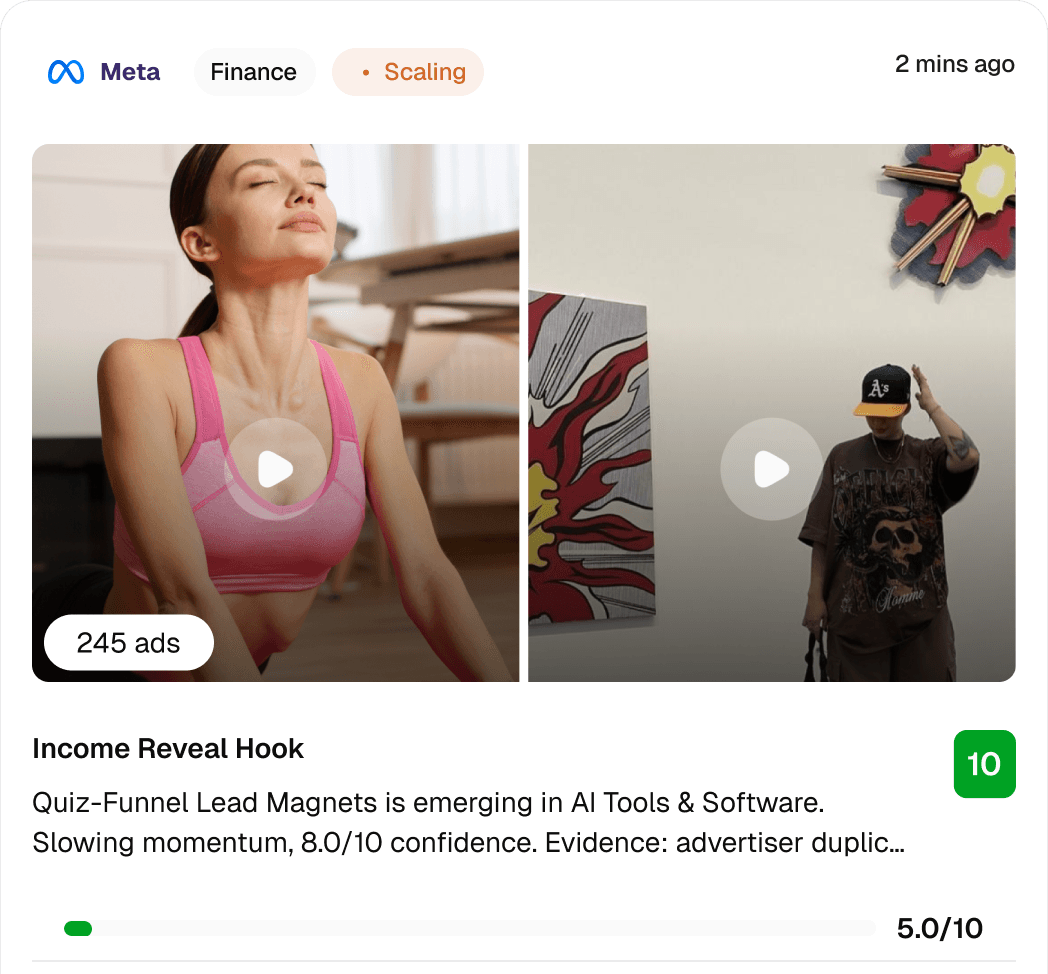 The Pattern Feed in Campaign Radar
